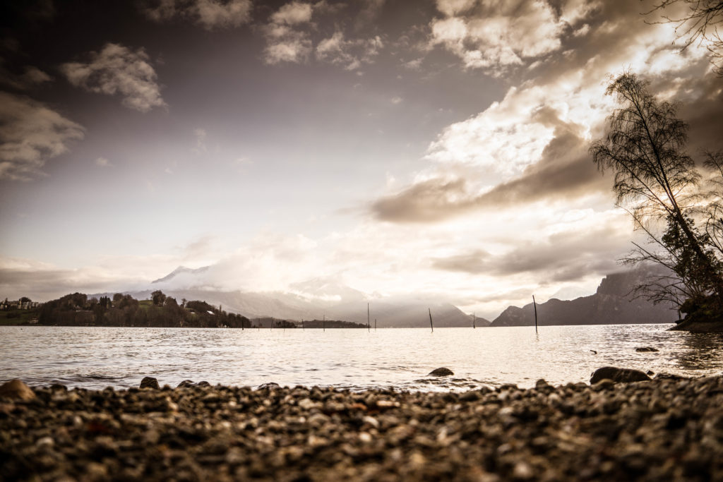 Secluded sands and Alpine splendor: Relax on our private beach with the iconic Mount Rigi as your backdrop